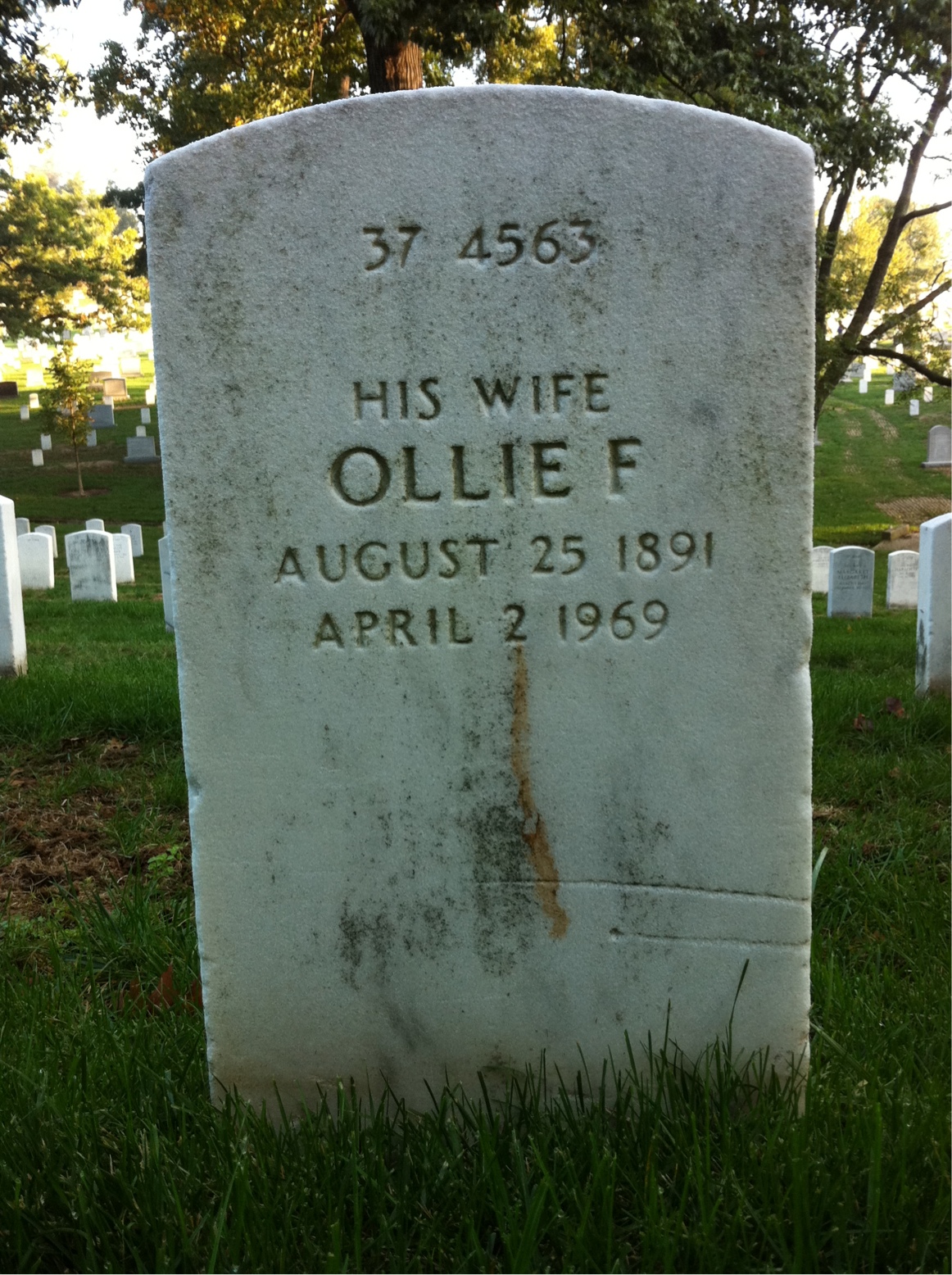 Back of headstone — George Banks