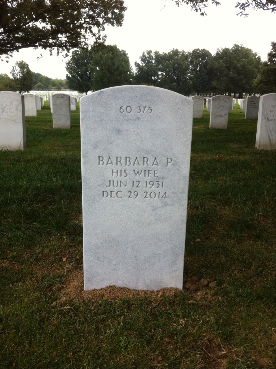 Back of headstone — Wesley Shull