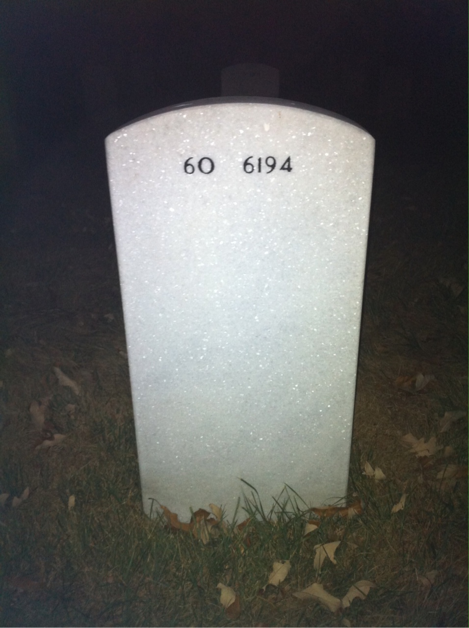 Back of headstone — Arthur Chesley