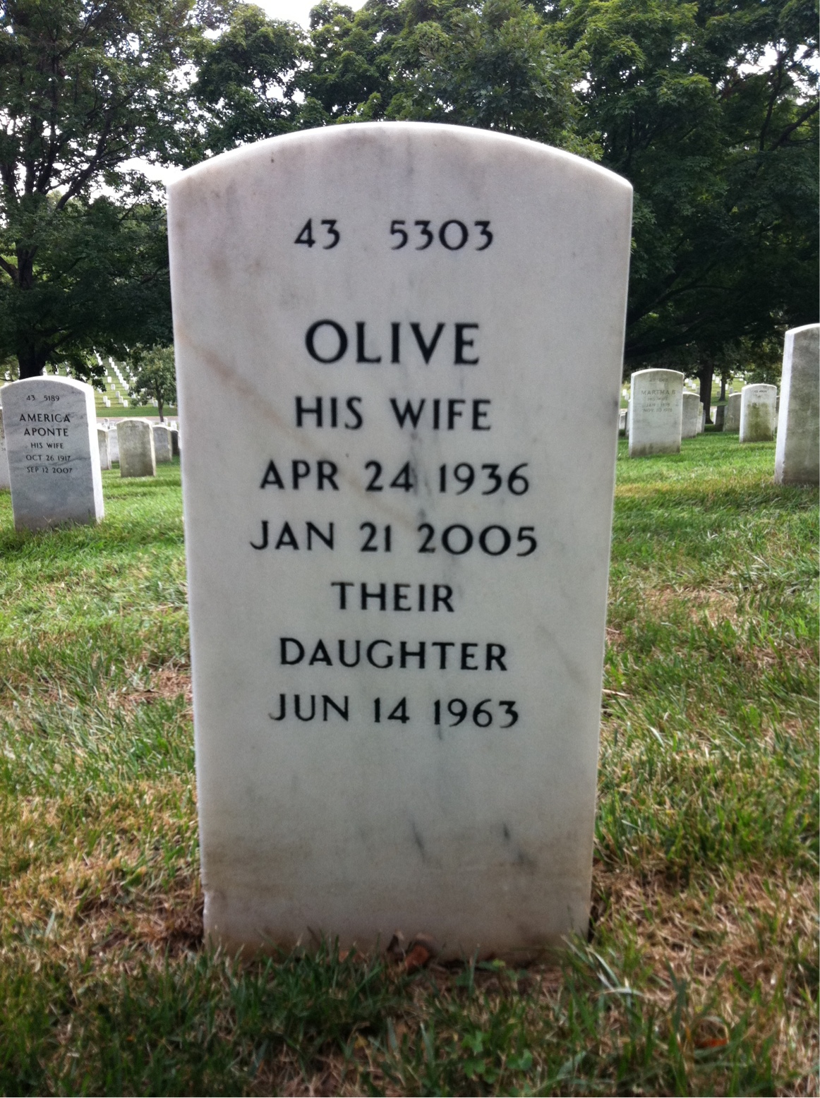 Back of headstone — John Meagher