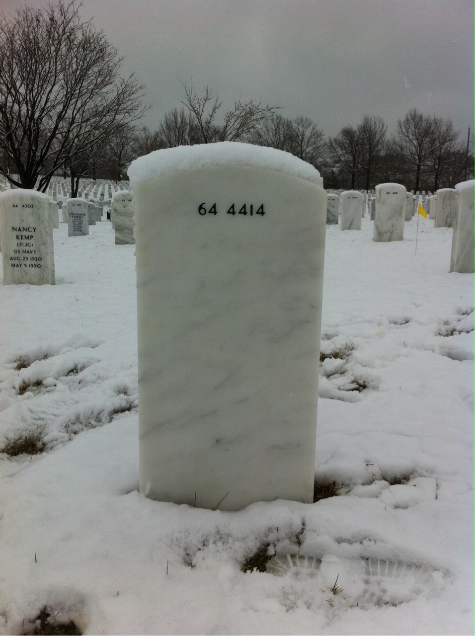 Back of headstone — Alfred Bisnett