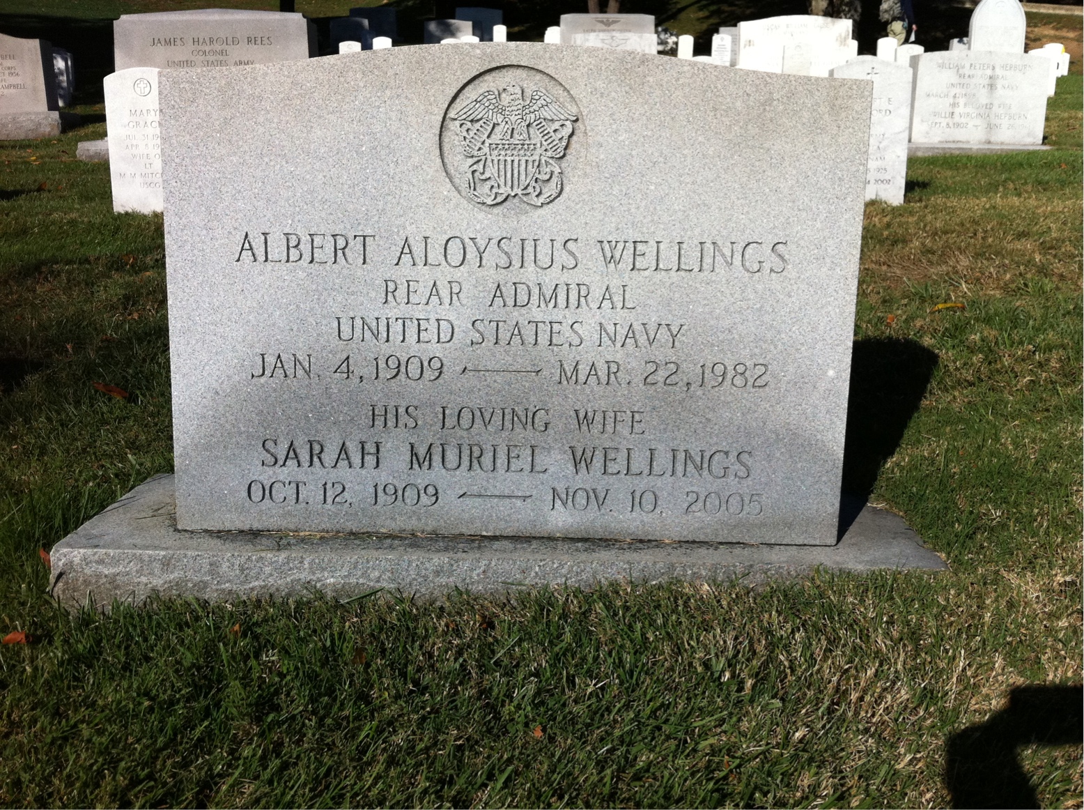 Albert Wellings