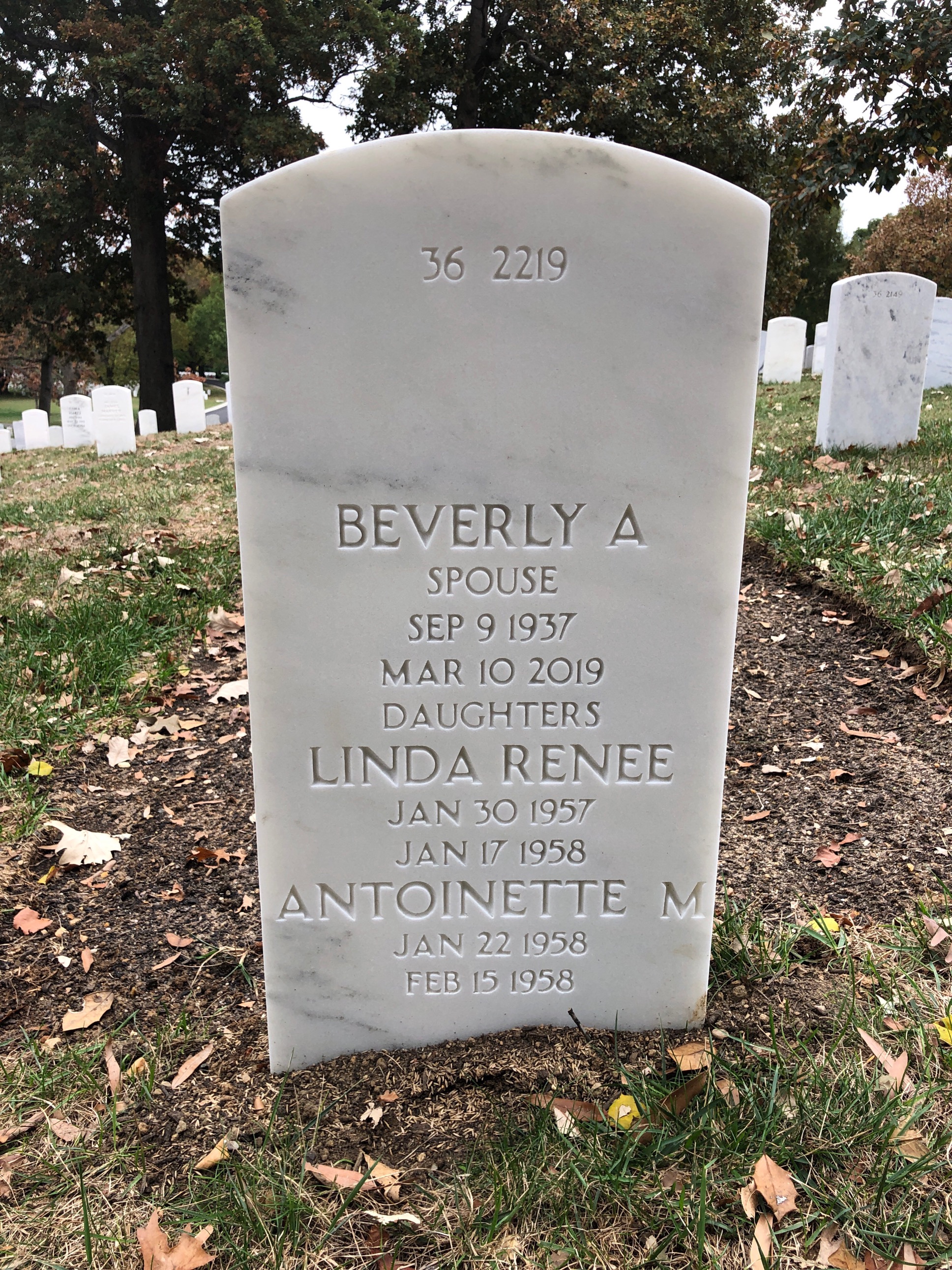 Back of headstone — Newberry Carter
