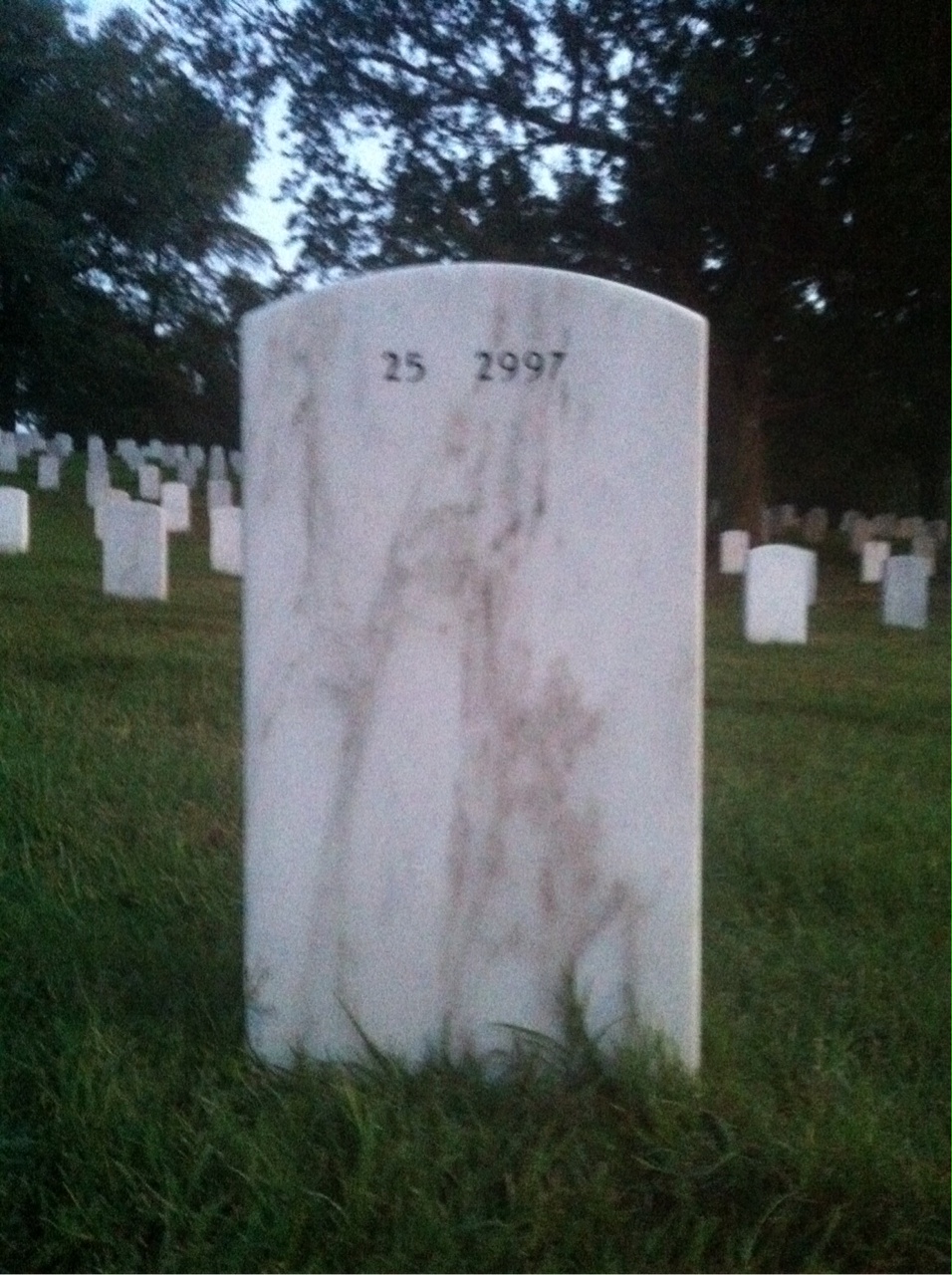 Back of headstone — Thomas Rego