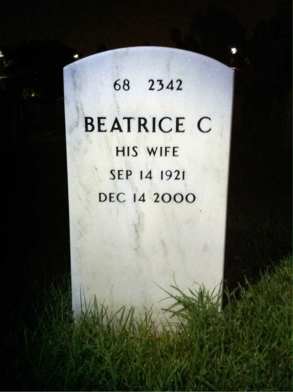 Back of headstone — John Cameron