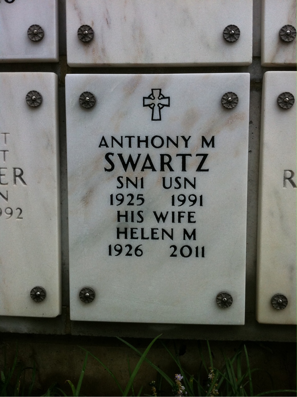 Anthony M Swartz