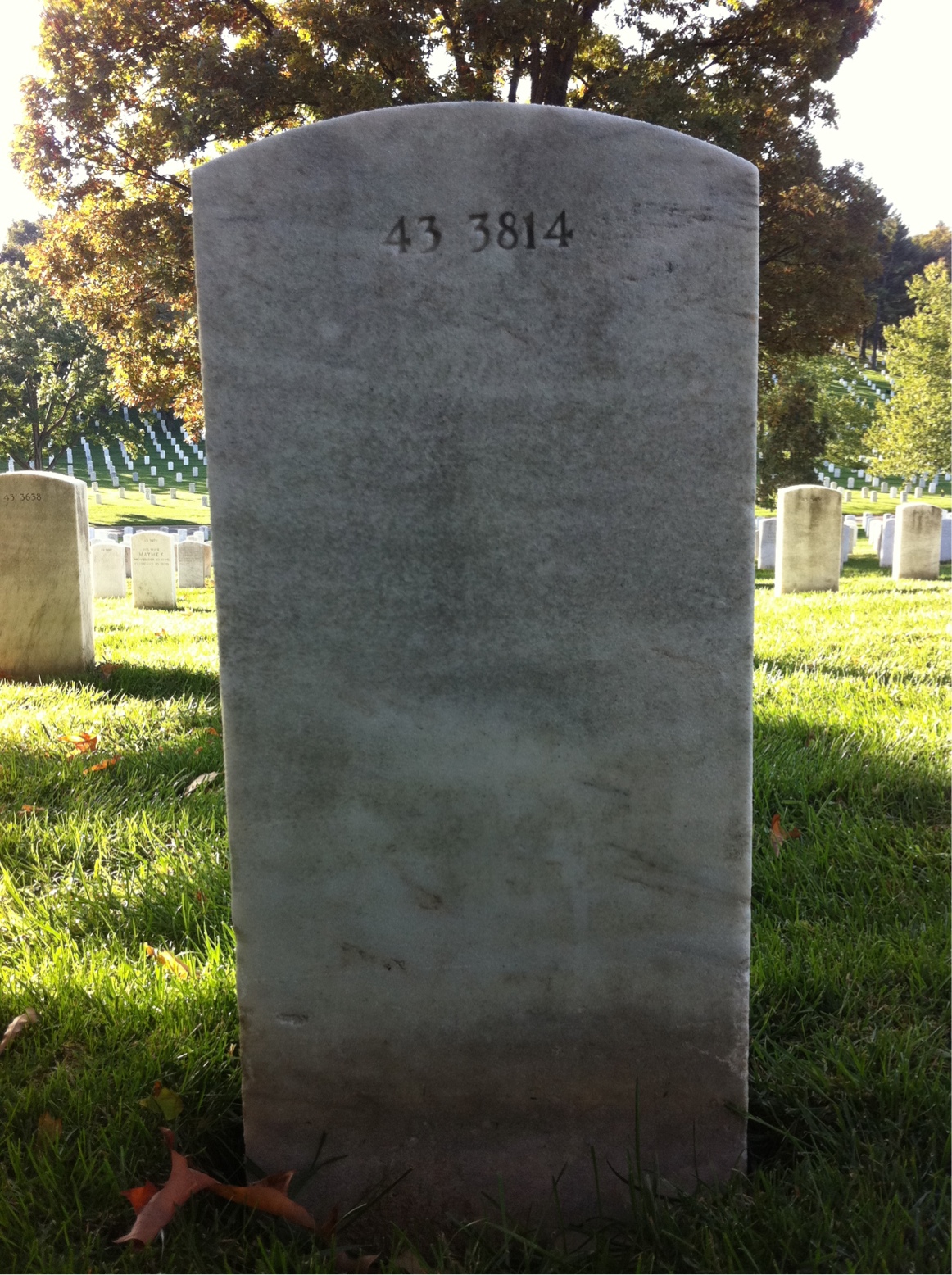 Back of headstone — James Murphy