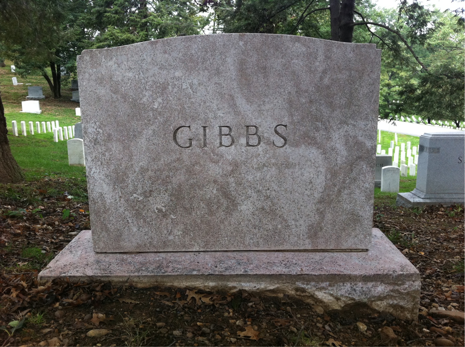 Back of headstone — Francis Gibbs