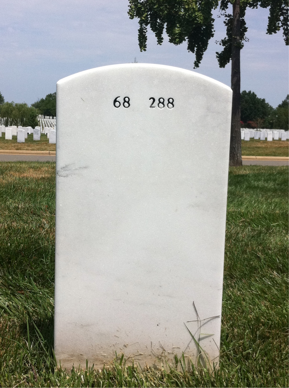 Back of headstone — Arline Gorn