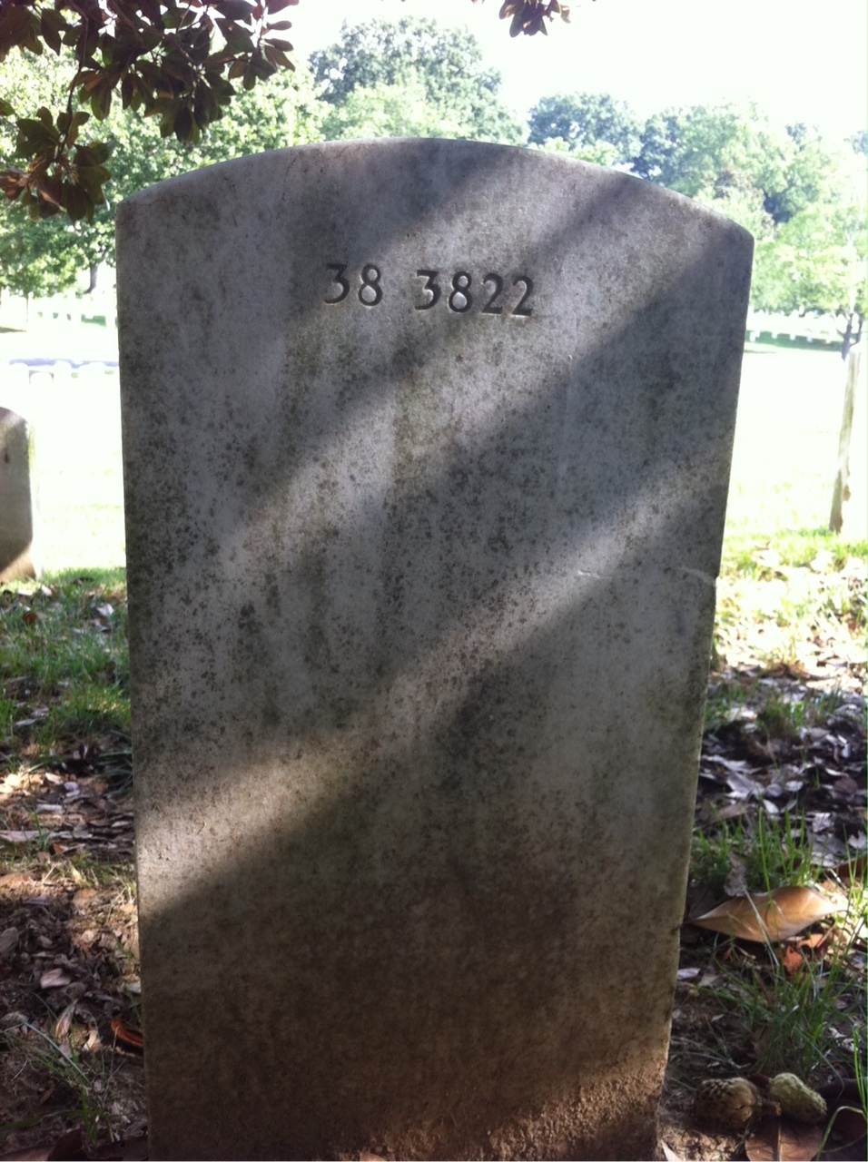 Back of headstone — William R Terry