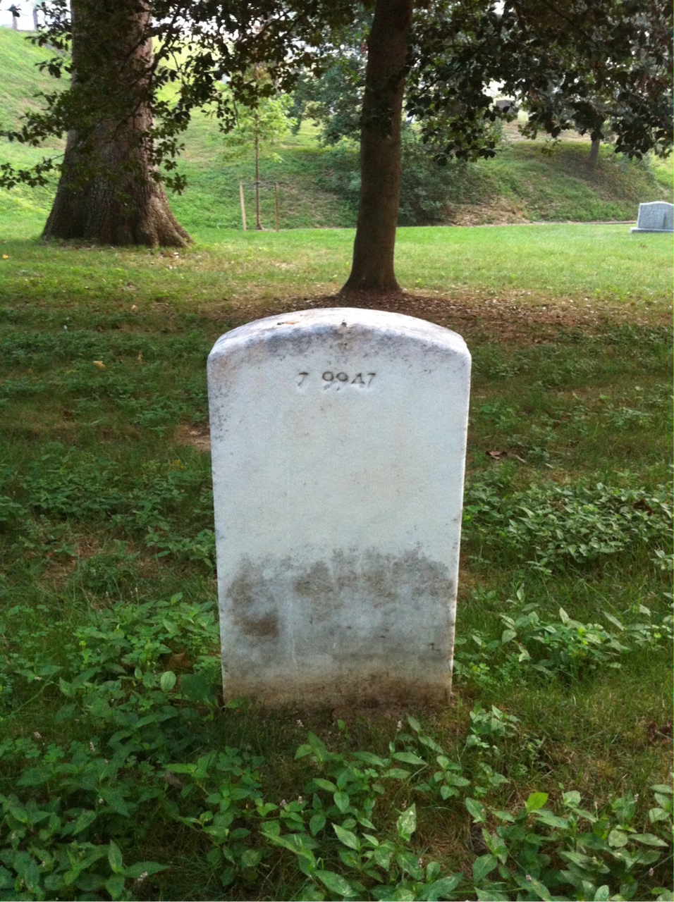 Back of headstone — Bertha Bailey