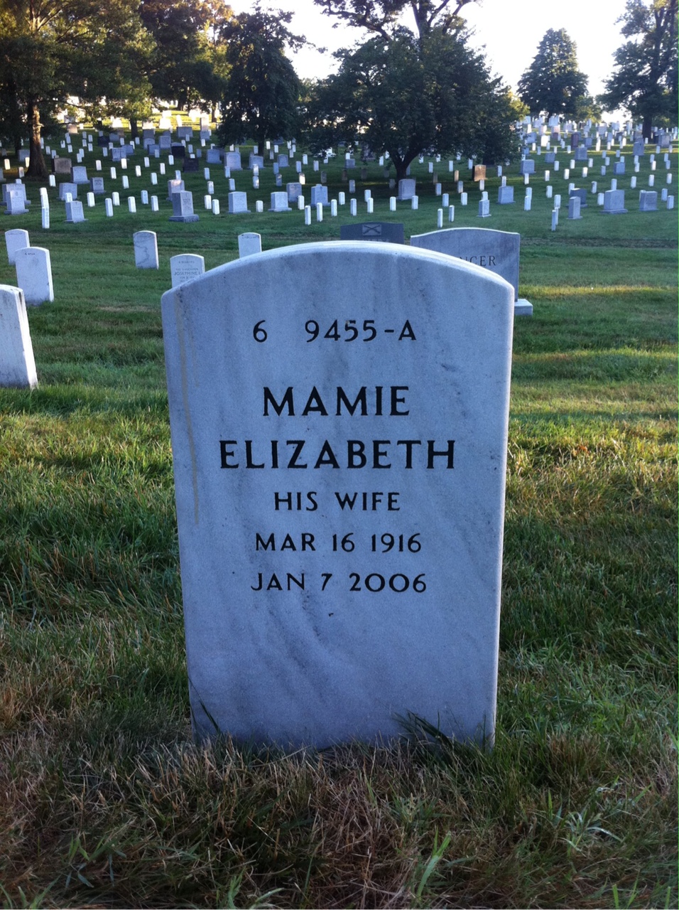Back of headstone — William Lane