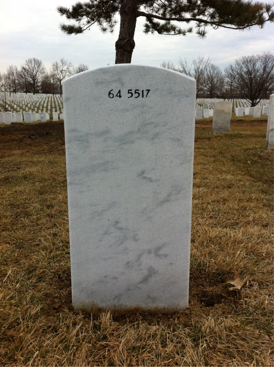 Back of headstone — Thomas Mathis Crowder
