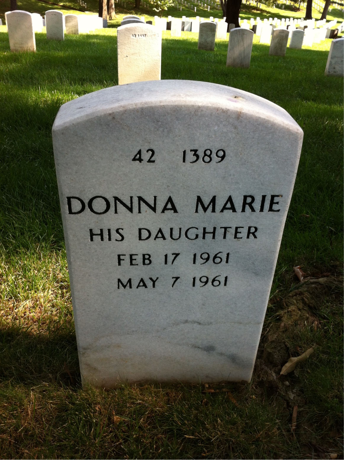 Back of headstone — Robert Bohannon