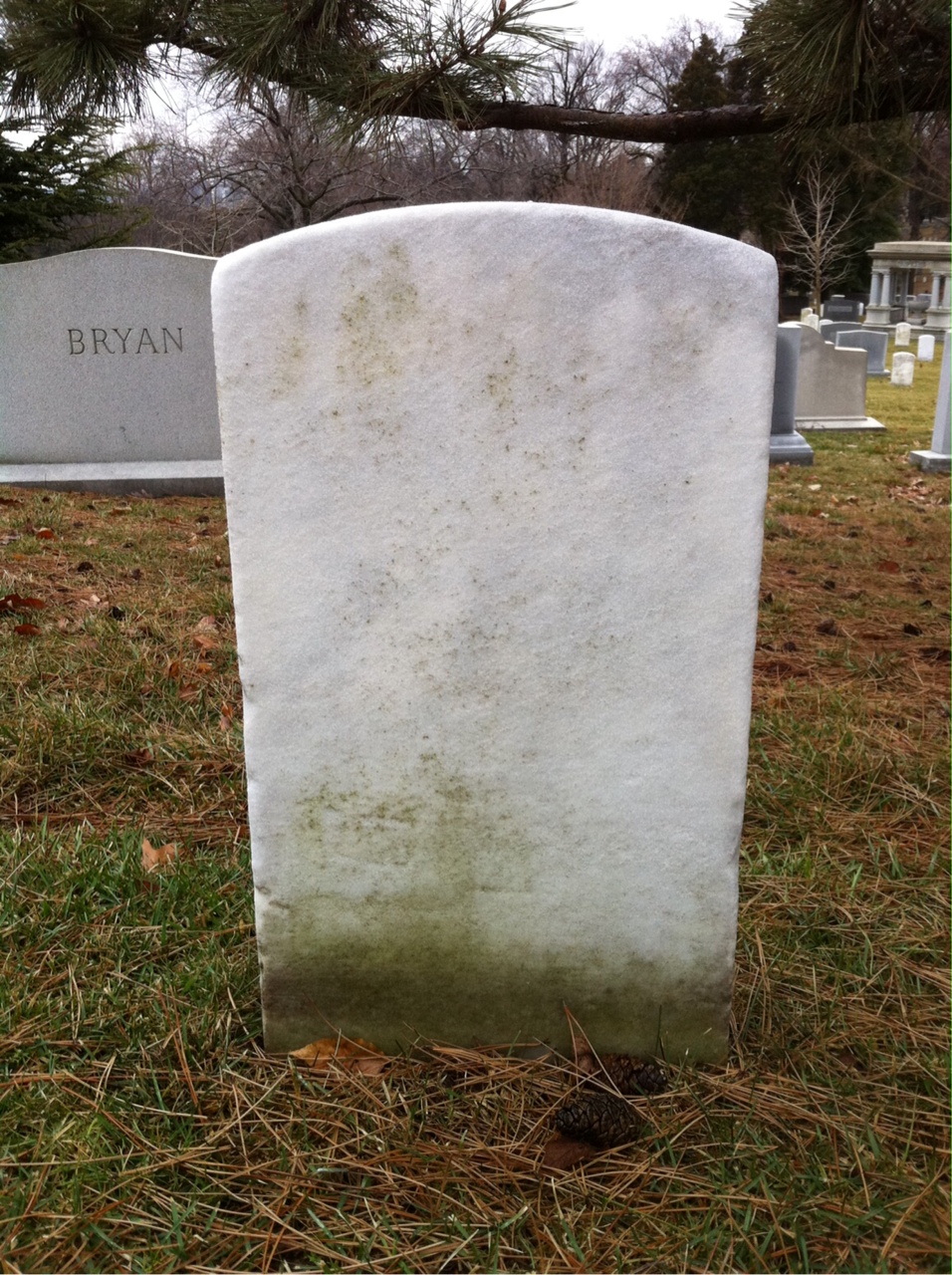 Back of headstone — A Albro