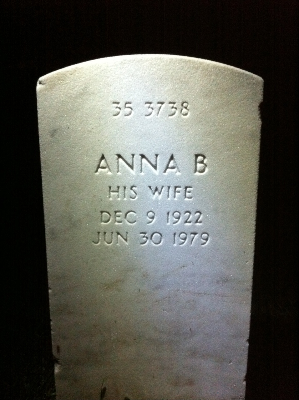 Back of headstone — Anna R Carpenter
