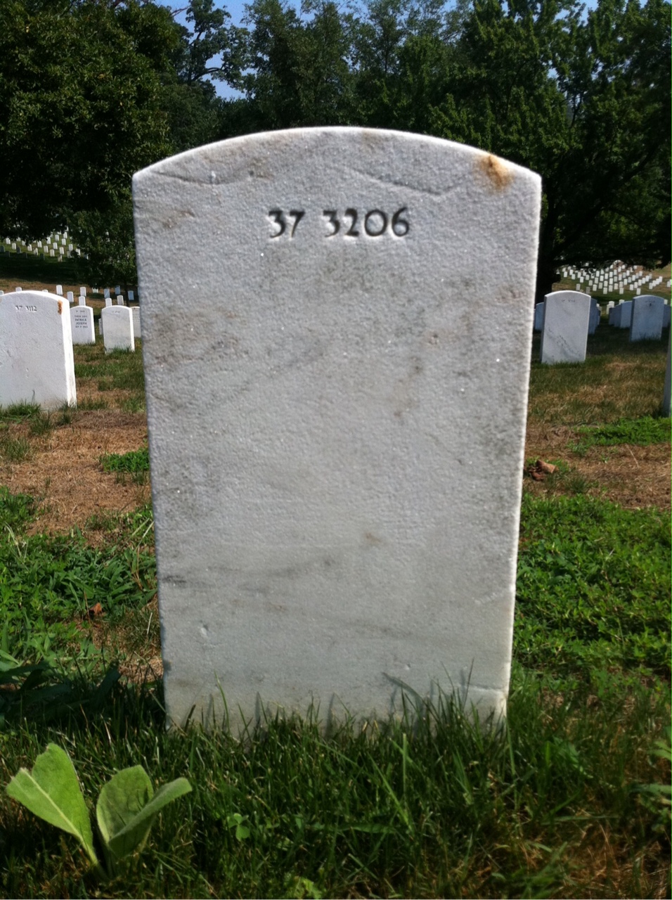 Back of headstone — Max Mork