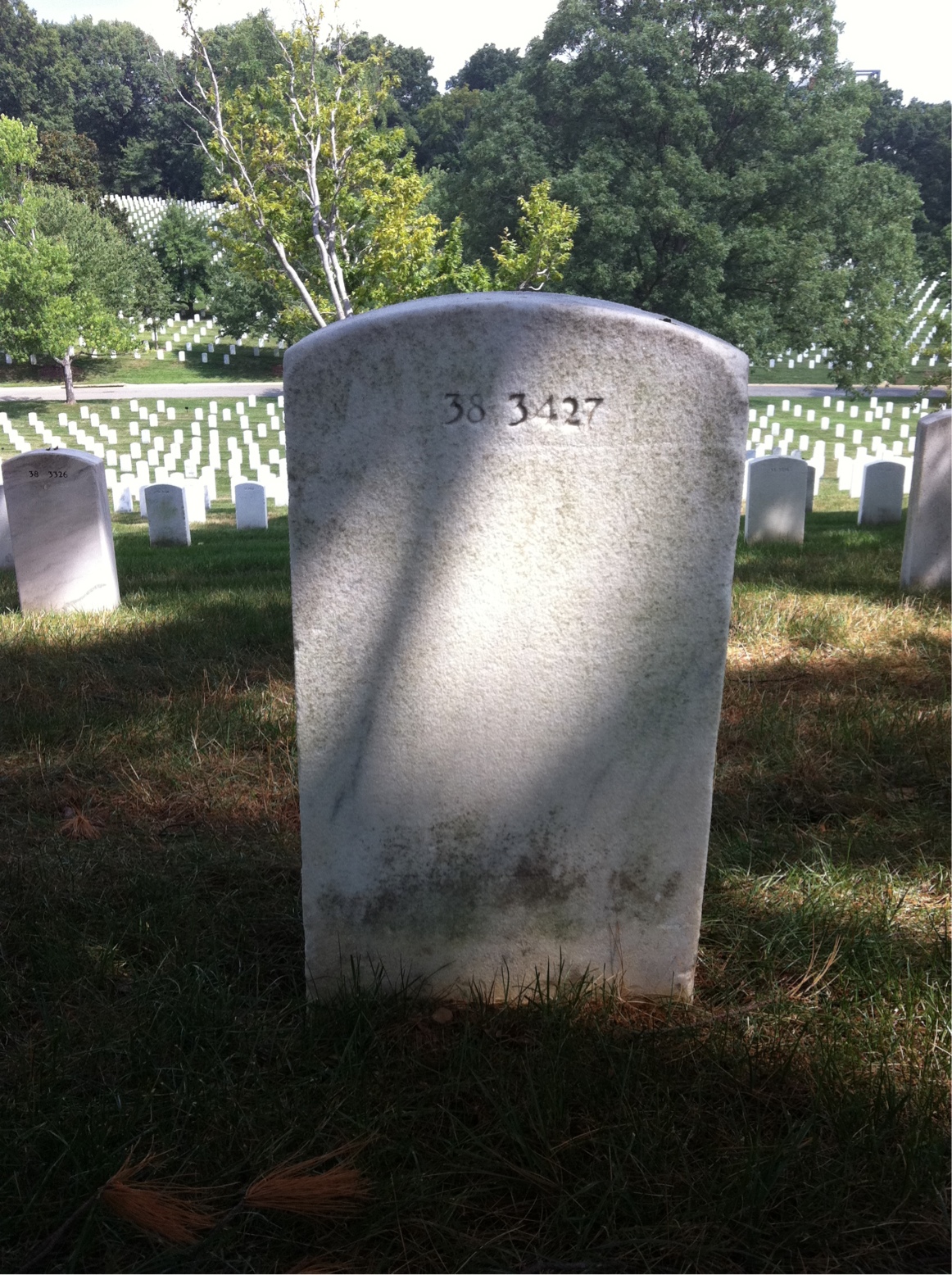 Back of headstone — Thomas Allen