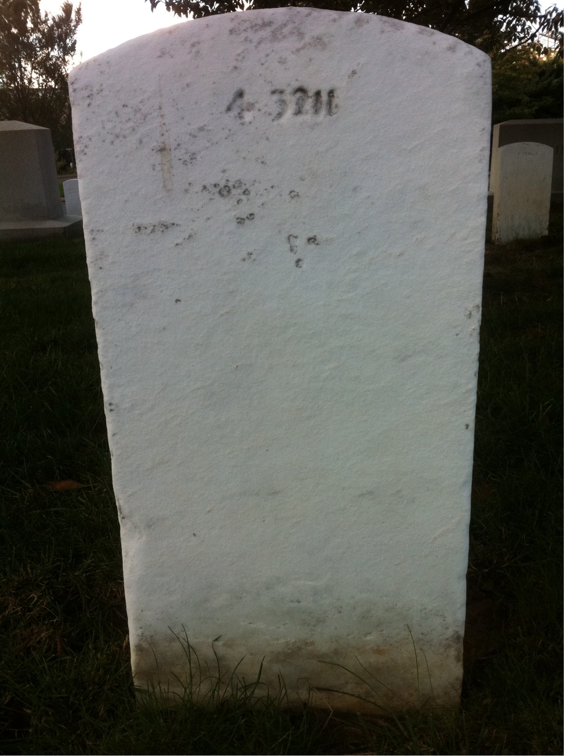 Back of headstone — Maude Bancroft