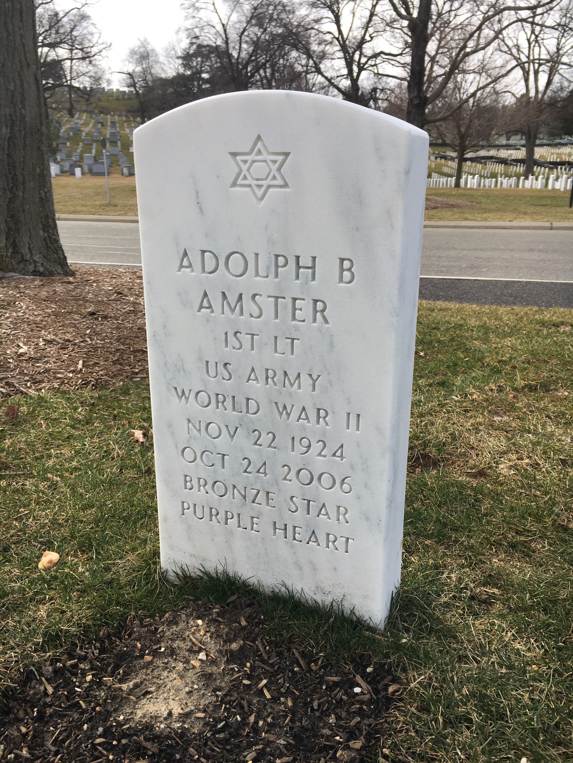 Adolph Amster