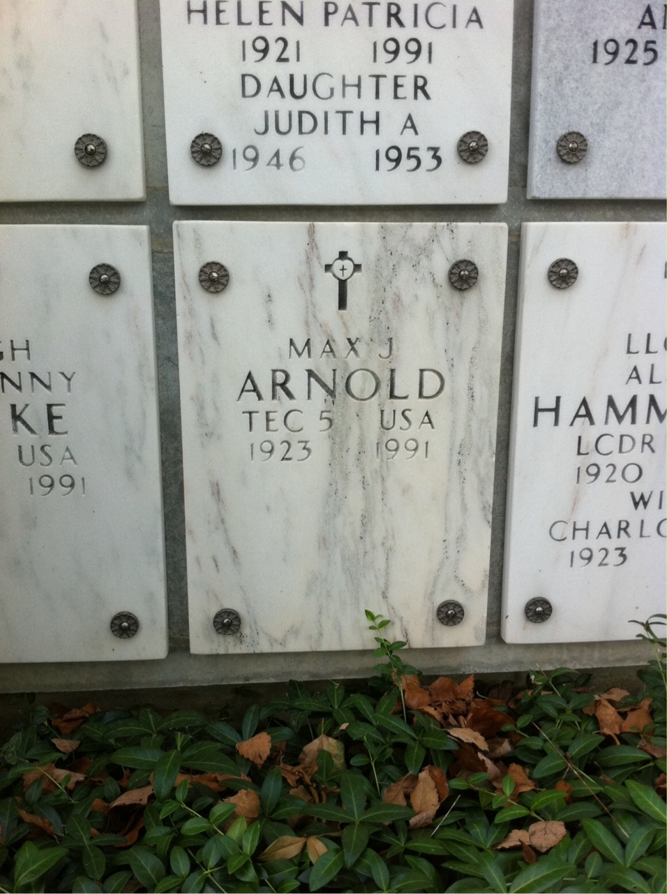 Max Arnold