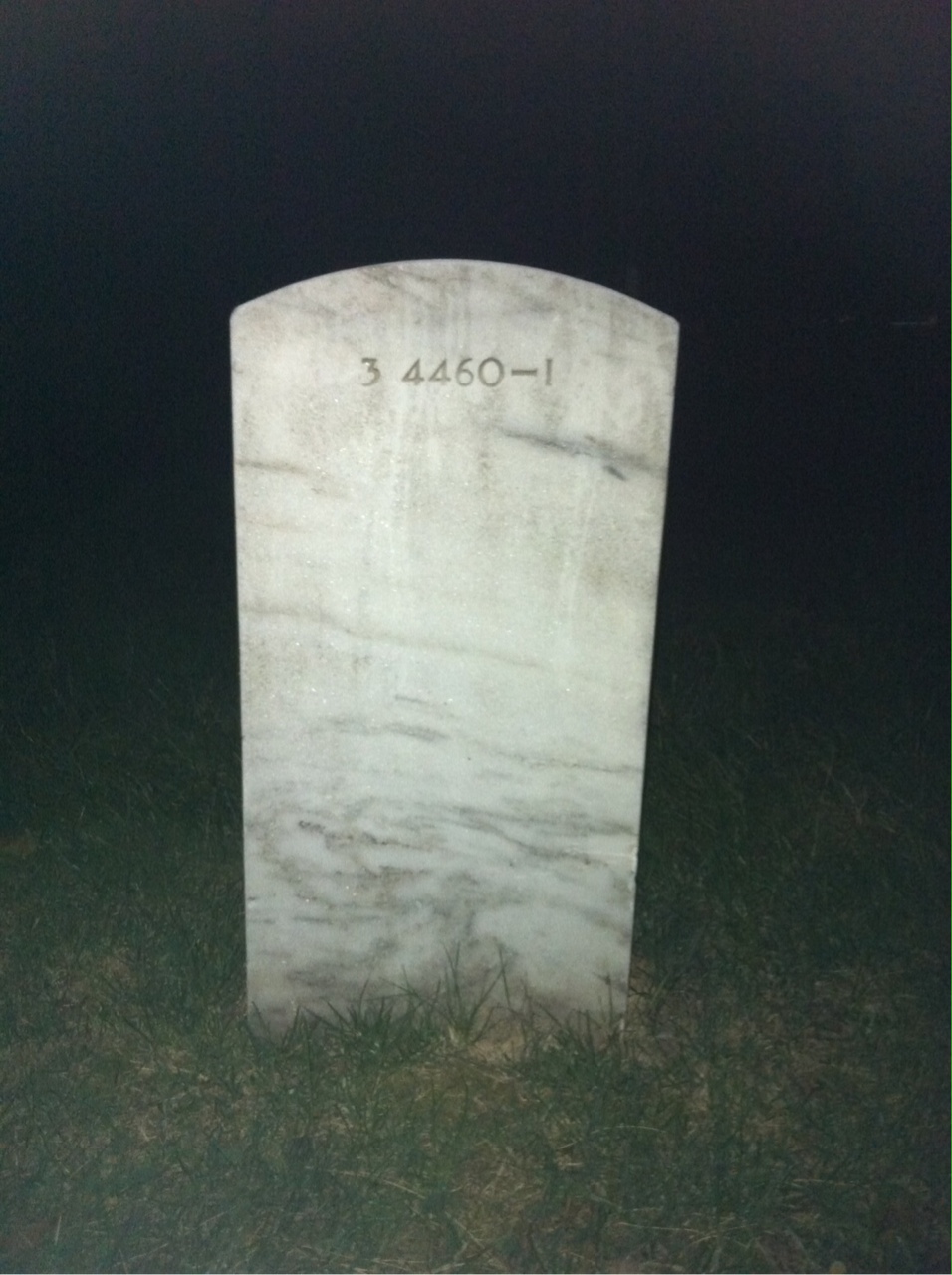 Back of headstone — Amos P Potts