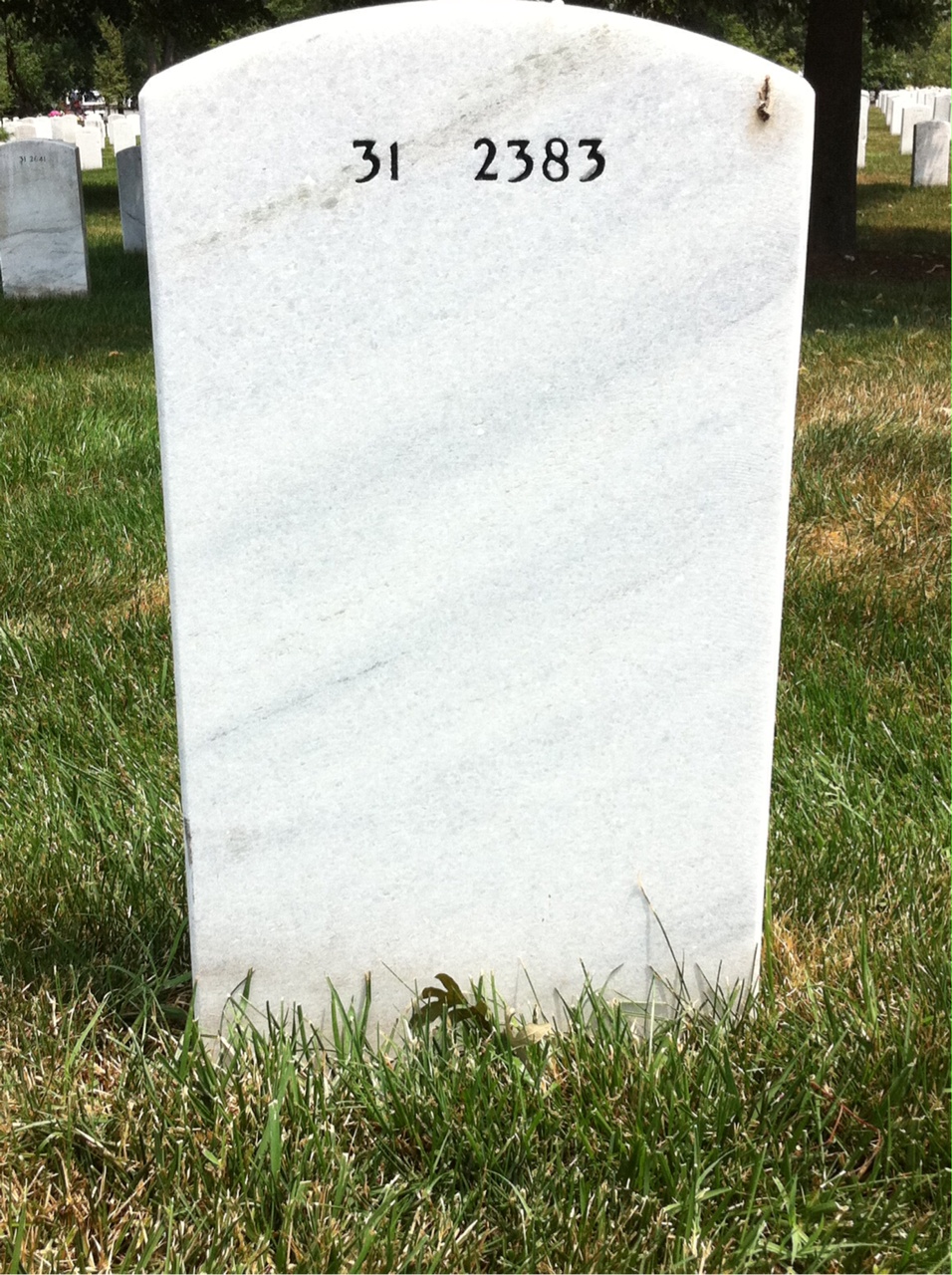Back of headstone — Edward Goekmeyer