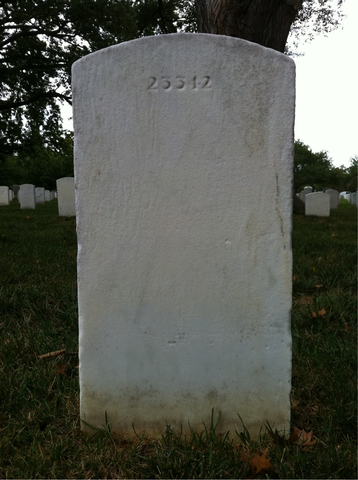 Back of headstone — William Moxley