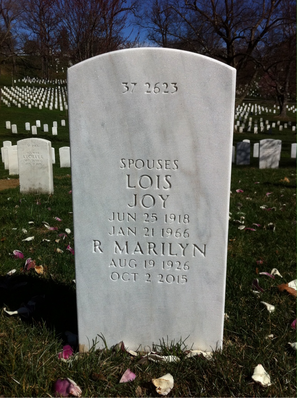 Back of headstone — Alton Mcmullen