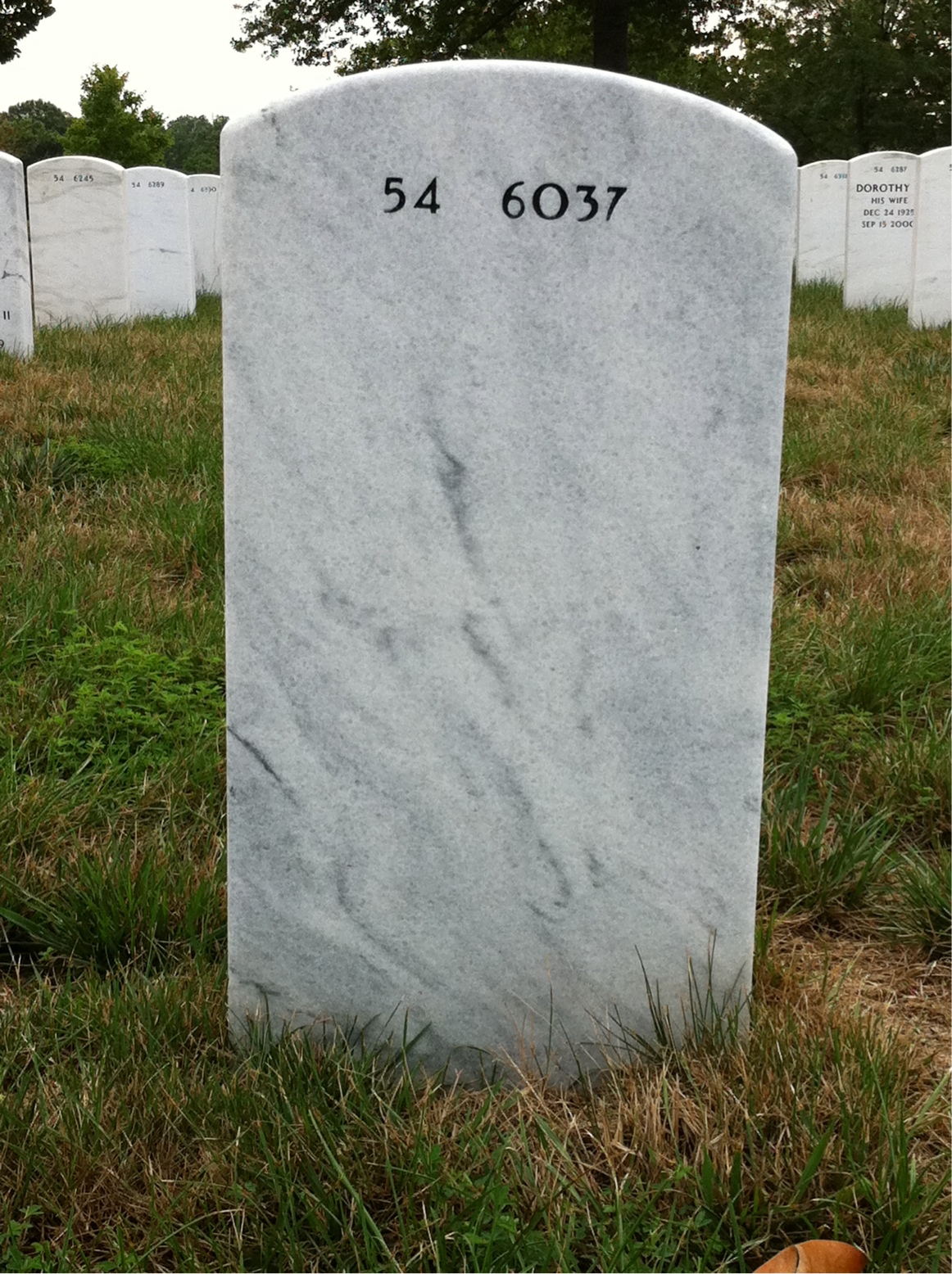 Back of headstone — Edmund Wilson
