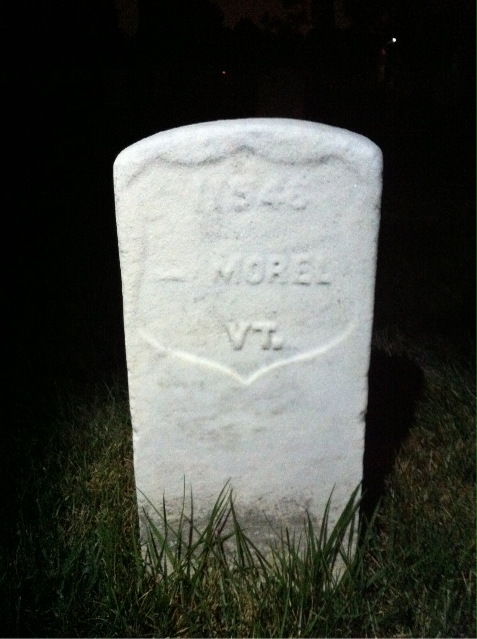 Not Captured Morel