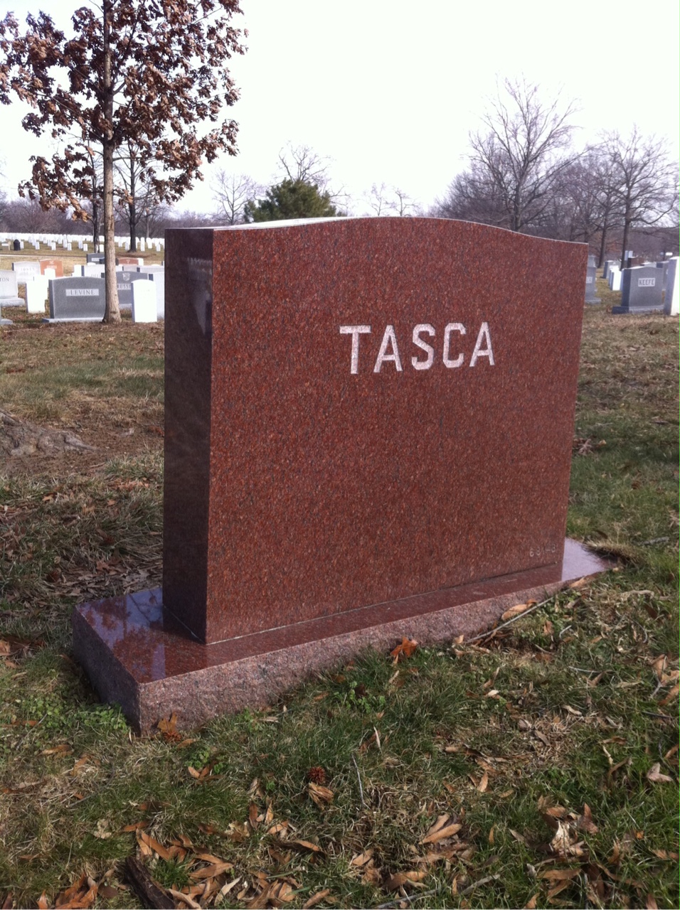 Back of headstone — Henry Tasca