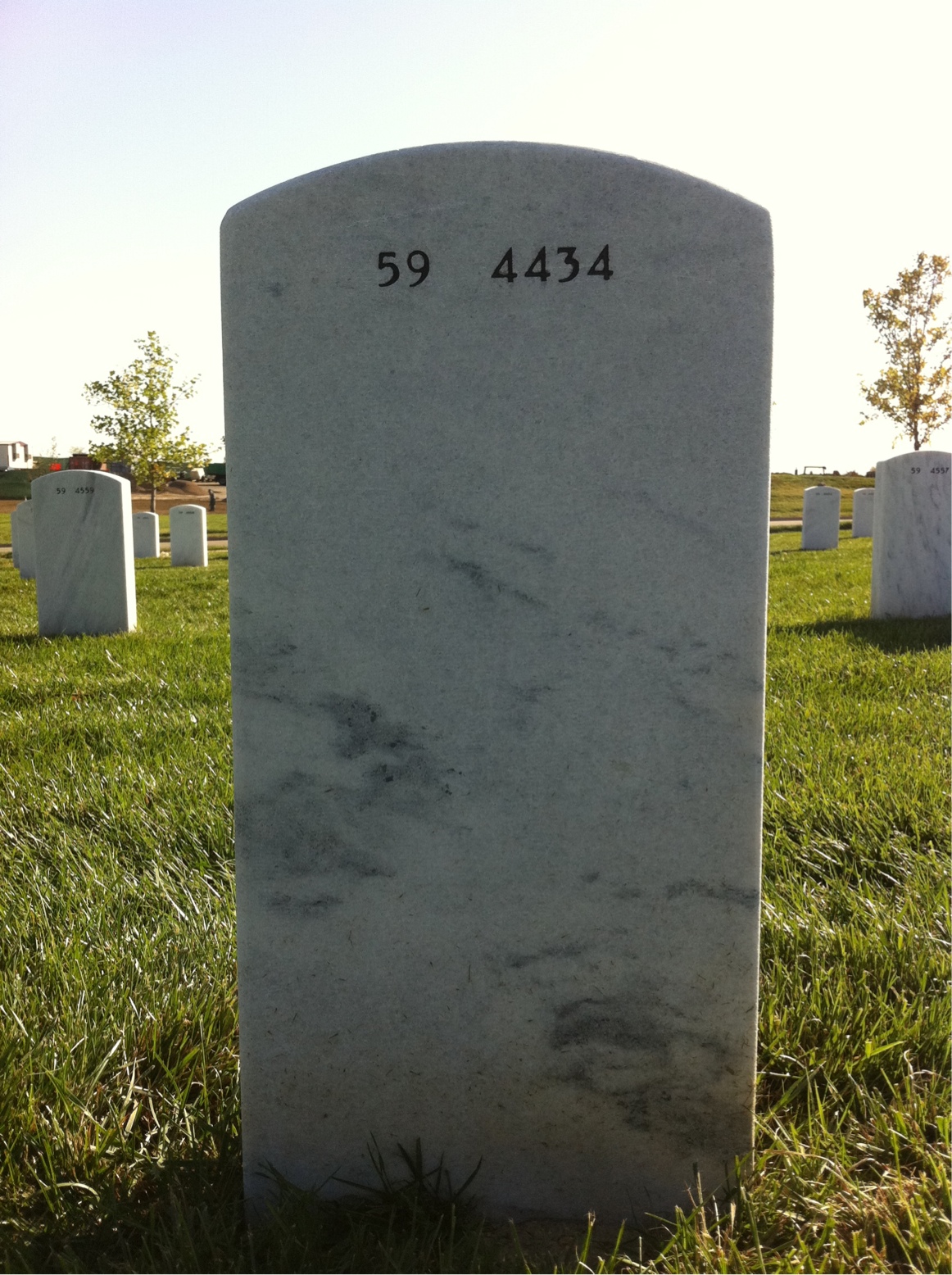 Back of headstone — William Albert Frizzell