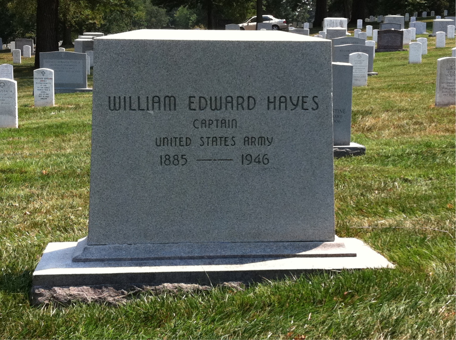 William P Hayes