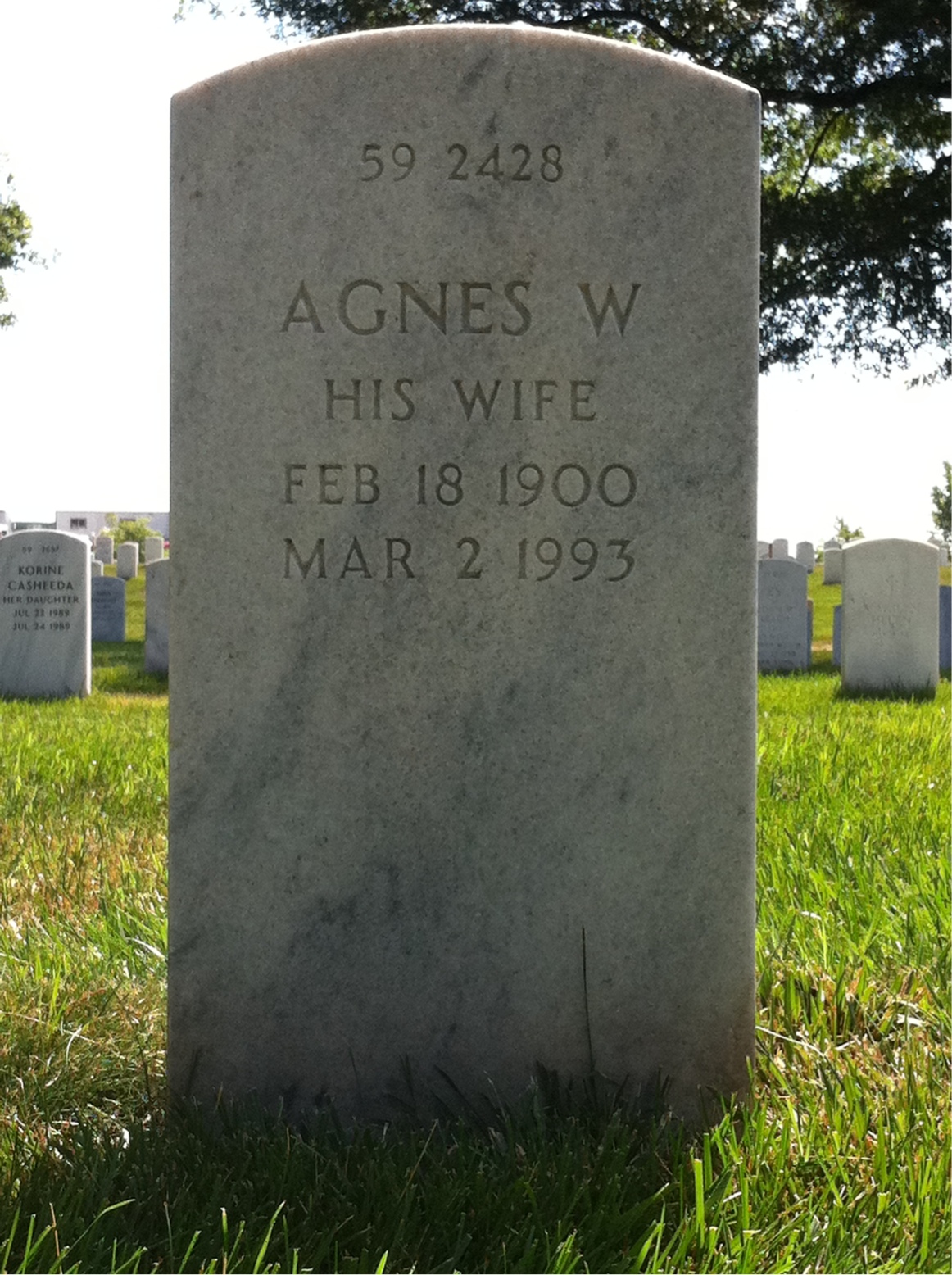 Back of headstone — William Benson