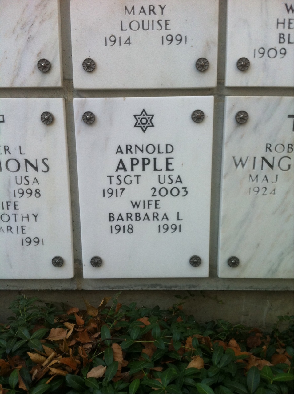 Arnold Apple