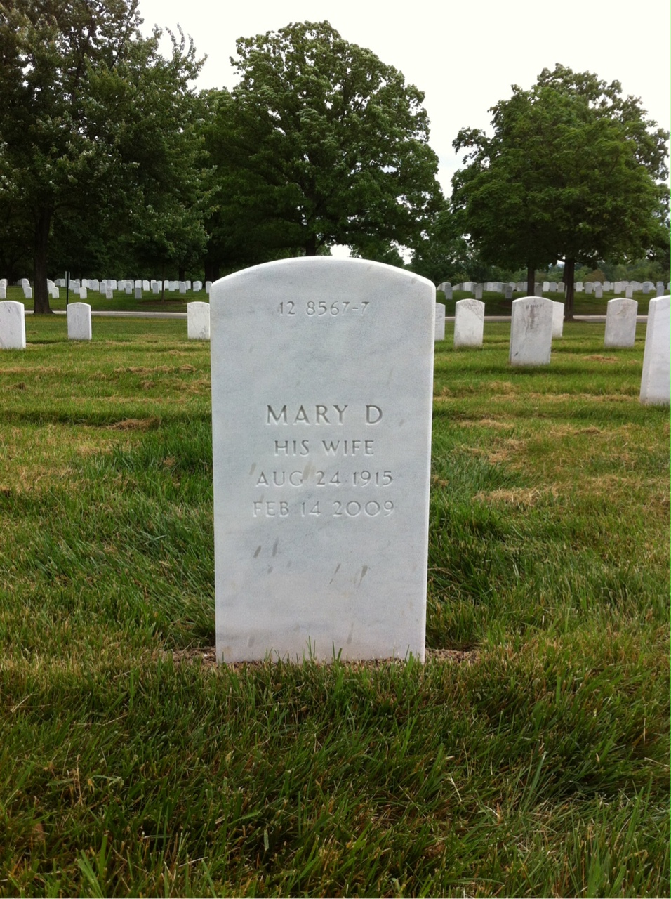 Back of headstone — John Apollony