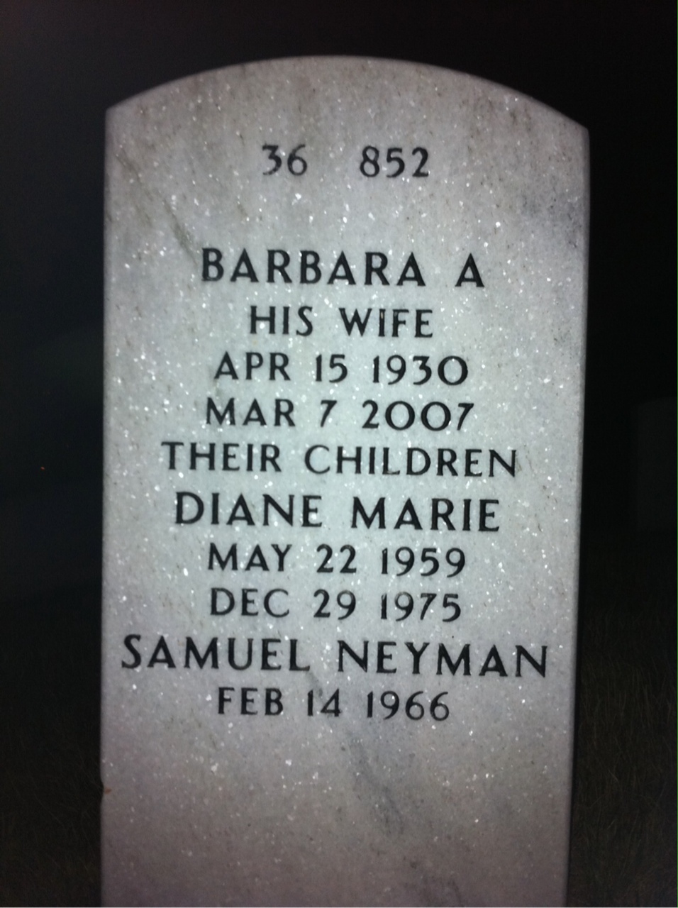 Back of headstone — David Pickerill