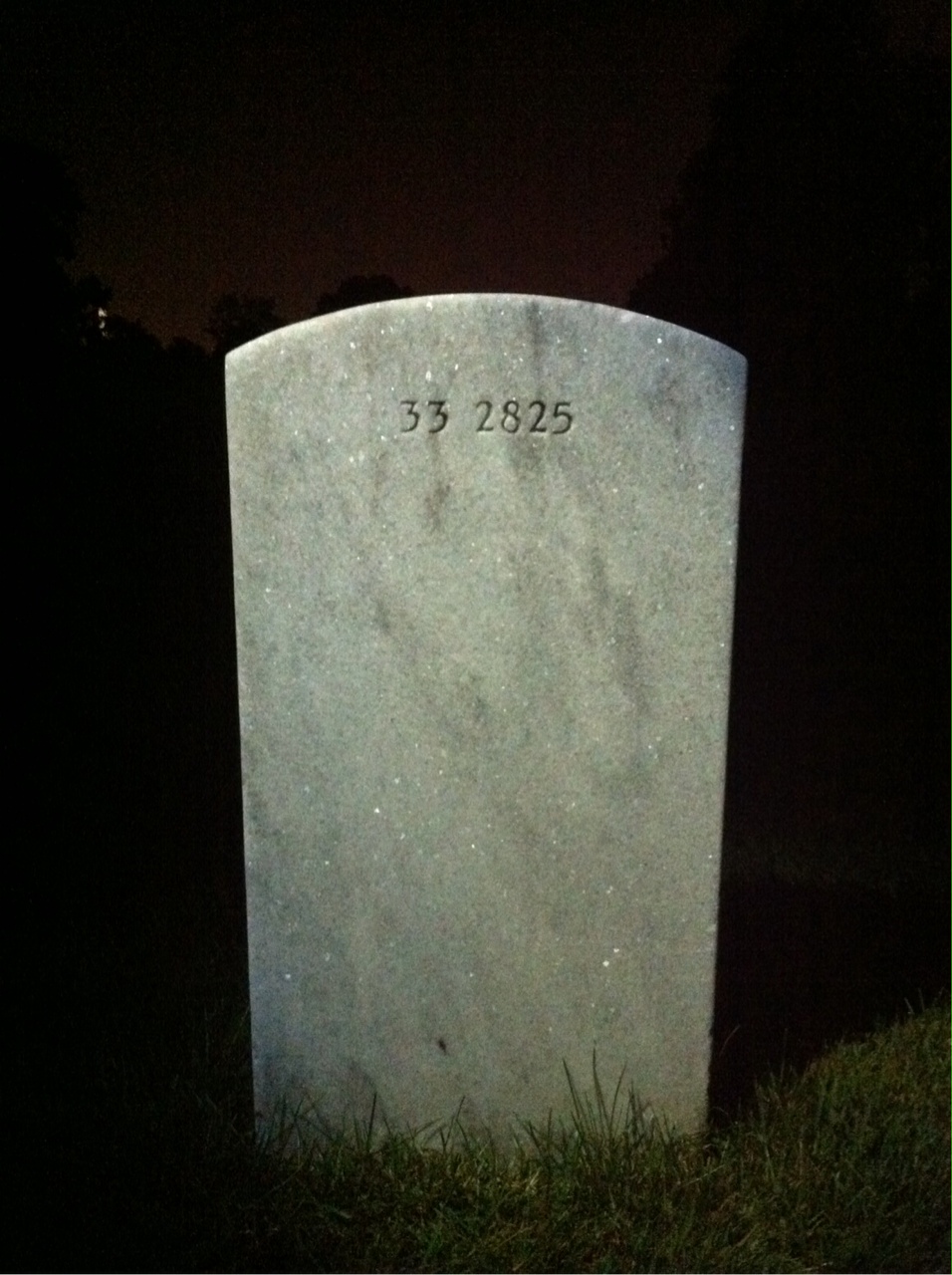 Back of headstone — James Mcneil