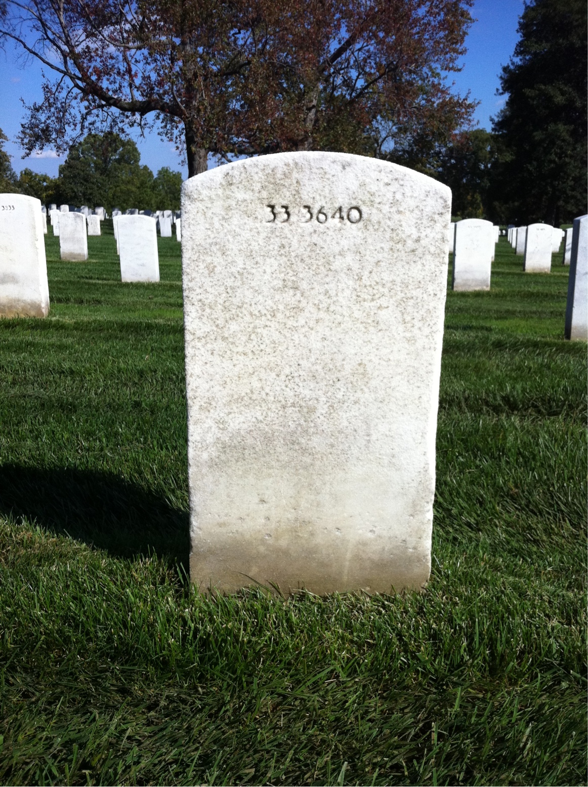 Back of headstone — Arlington Braden