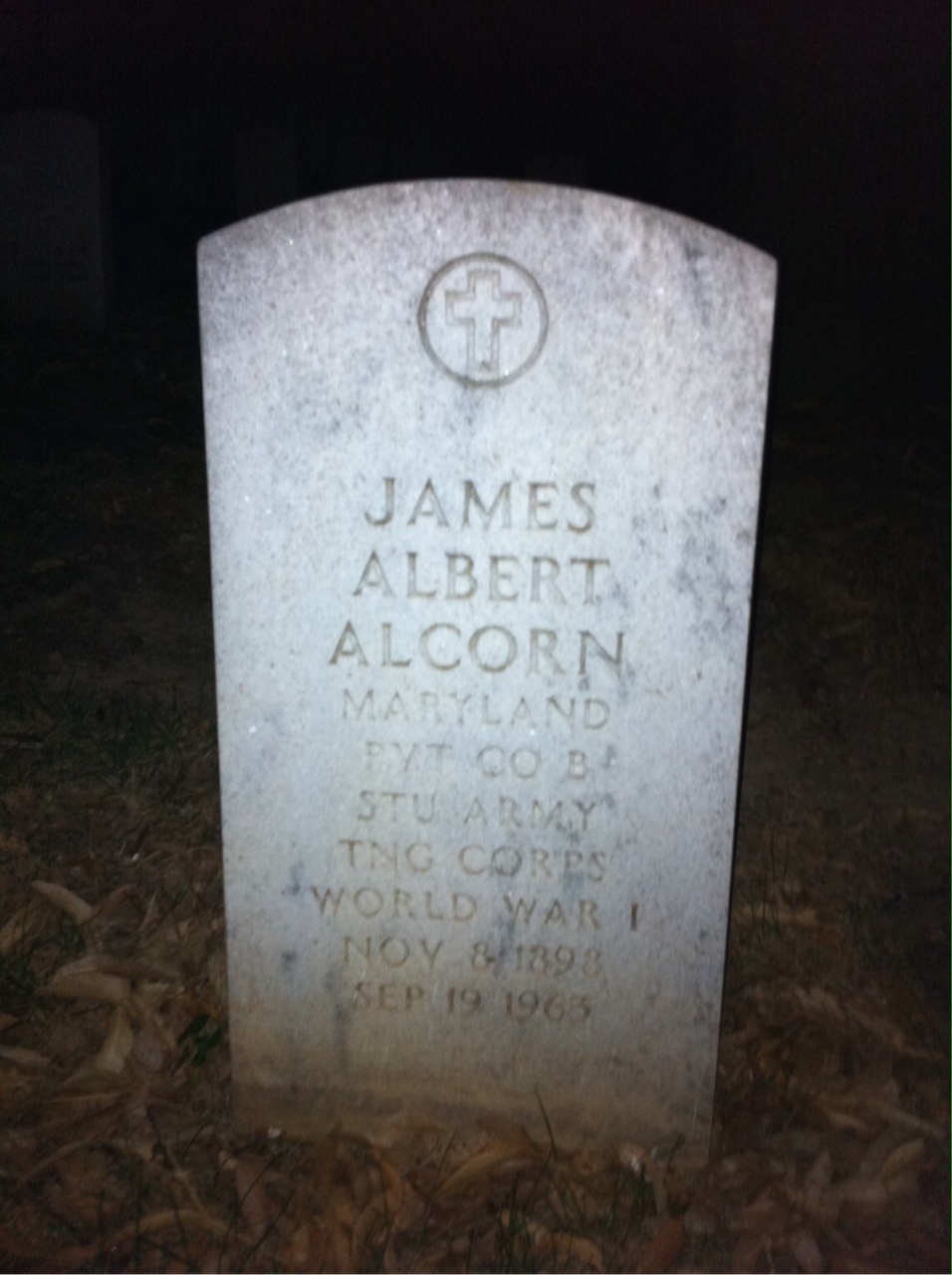 Frances Alcorn