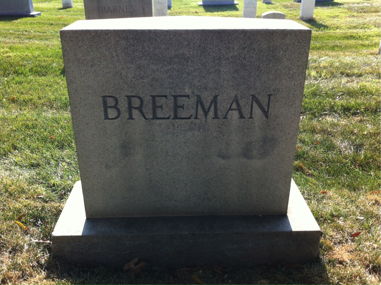 Back of headstone — George Breeman