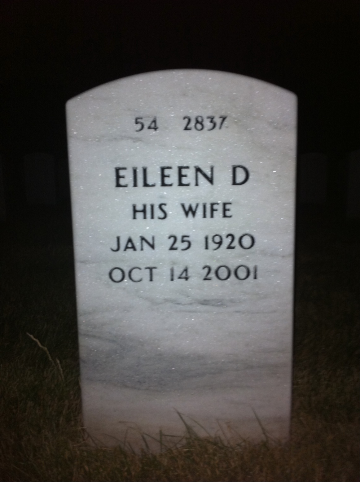 Back of headstone — Wayne Ligon