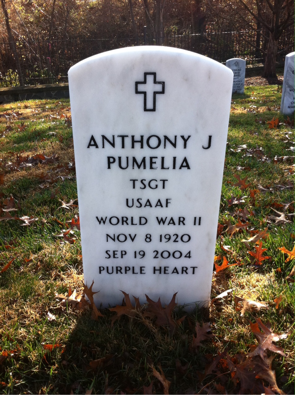 Anthony Pumelia
