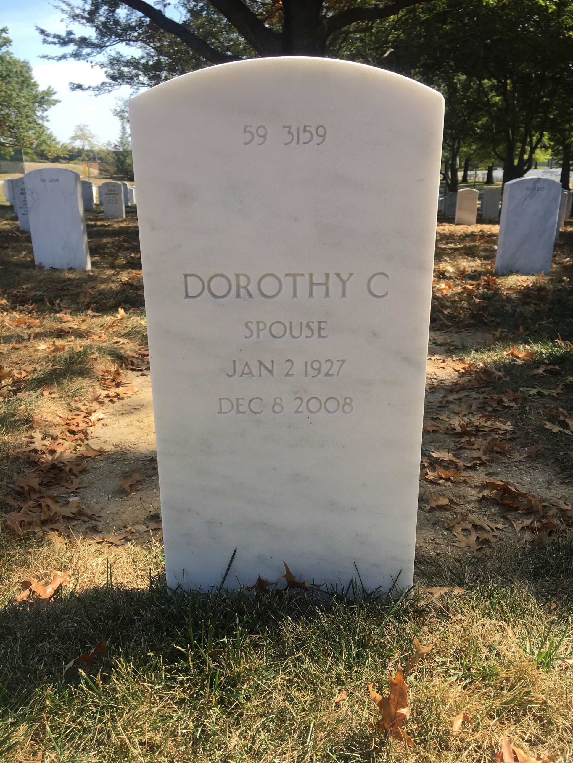 Back of headstone — Anthony Parisi