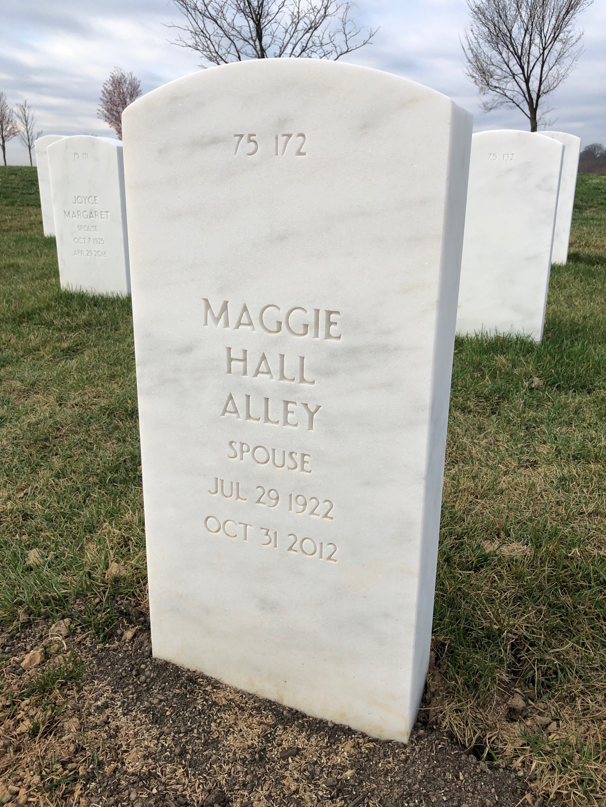 Back of headstone — Louis Alley
