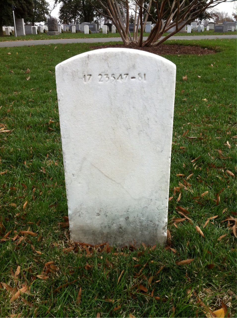 Back of headstone — Alfred Morrissey