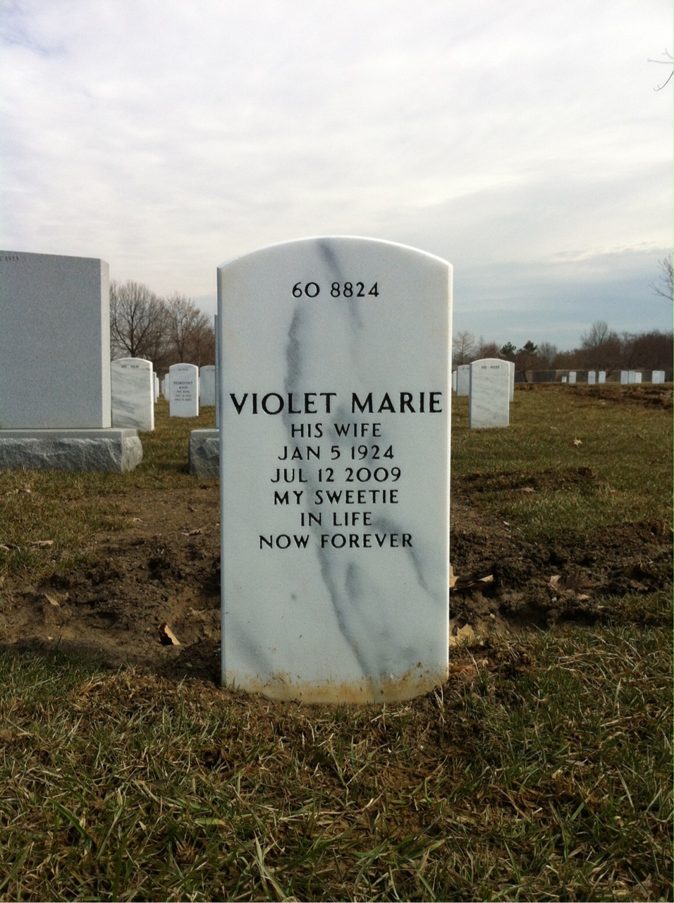 Back of headstone — Louis Pernicka