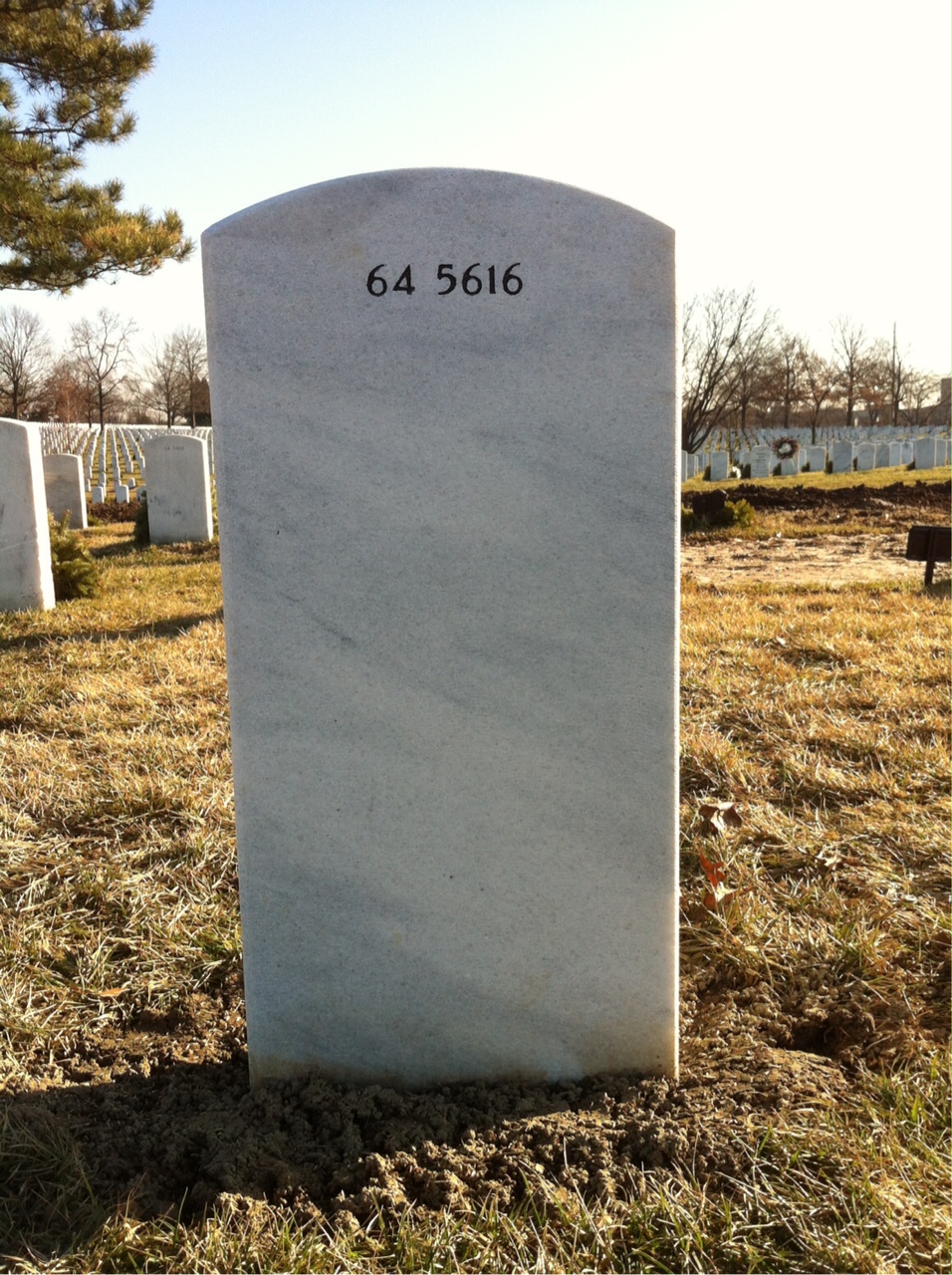 Back of headstone — Harvey Anderson