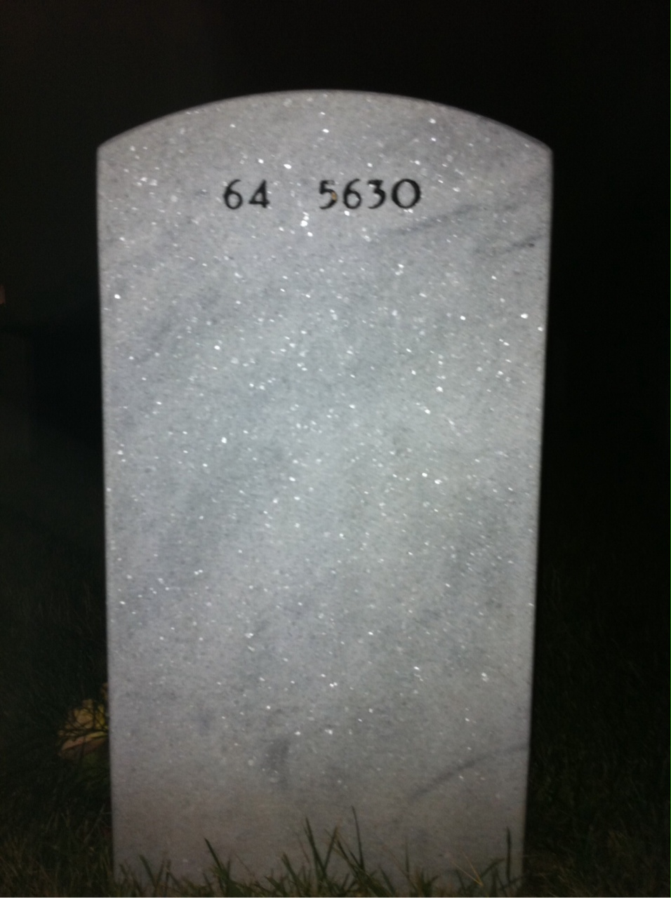Back of headstone — Ellis Shanks